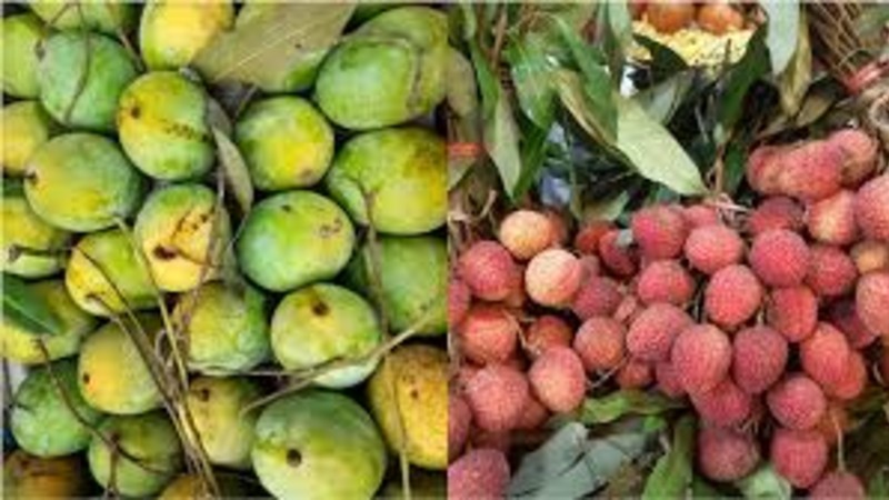 রাজধানীতে ফলের সরবরাহ কমছে, দাম বাড়ার শঙ্কায় ক্রেতারা
