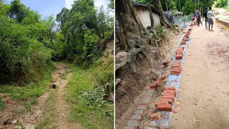 সংরক্ষিত বনভূমিতে সড়ক নির্মাণে হাইকোর্টের নিষেধাজ্ঞা